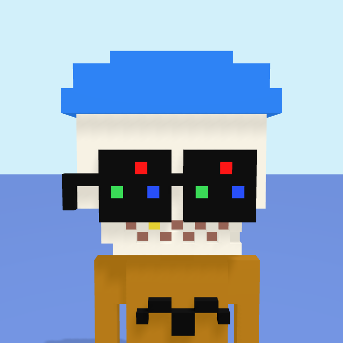 Skeleton Hat, a voxel Noun with a skeleton hat head and square noggles