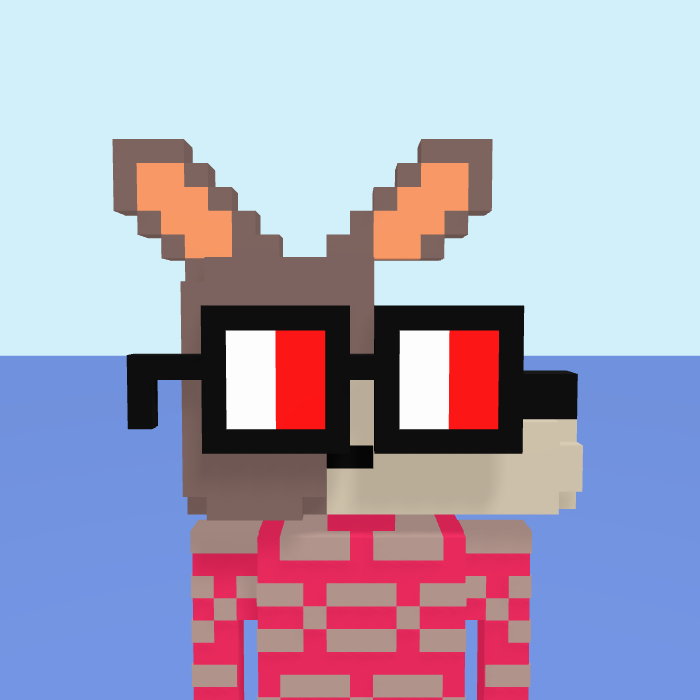 Kangaroo, a voxel Noun with a kangaroo head and square noggles