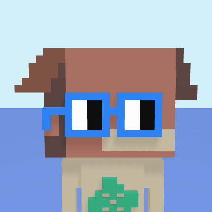 Box, a voxel Noun with a box head and square noggles