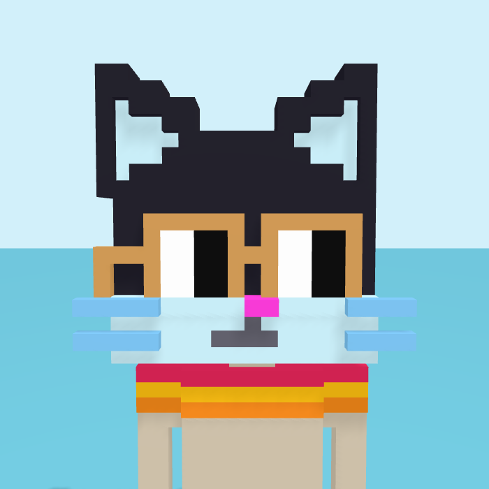 Alley Cat, a voxel Noun with a cat head and square noggles