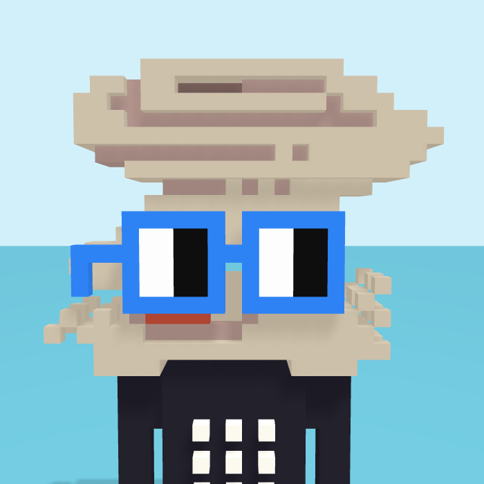 Tornado, a voxel Noun with a tornado head and square noggles