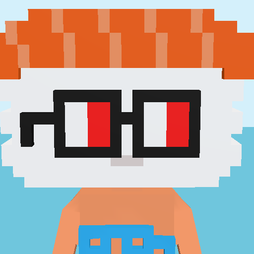 Sushi, a voxel Noun and square noggles