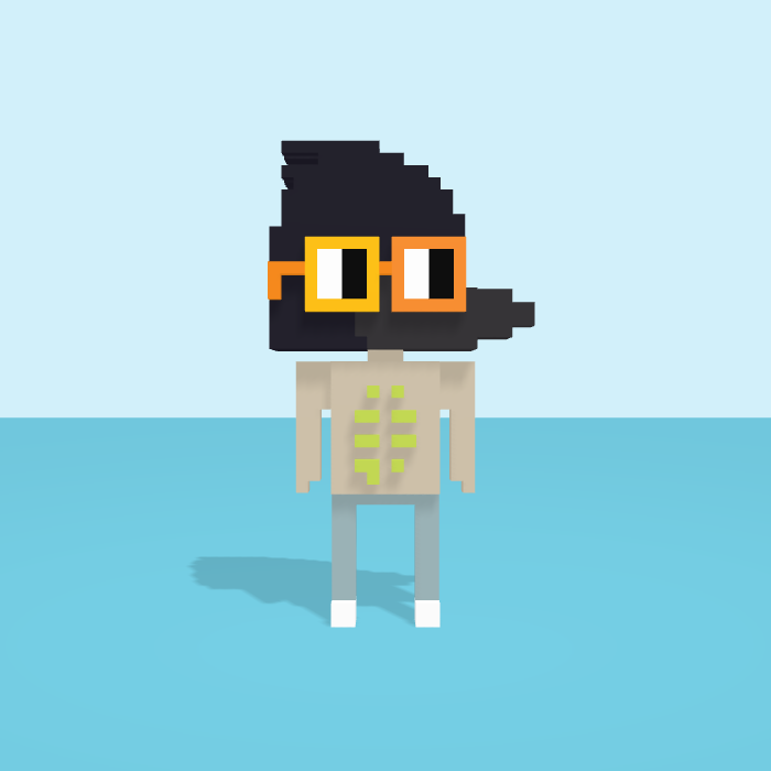 Raven voxel model, front view
